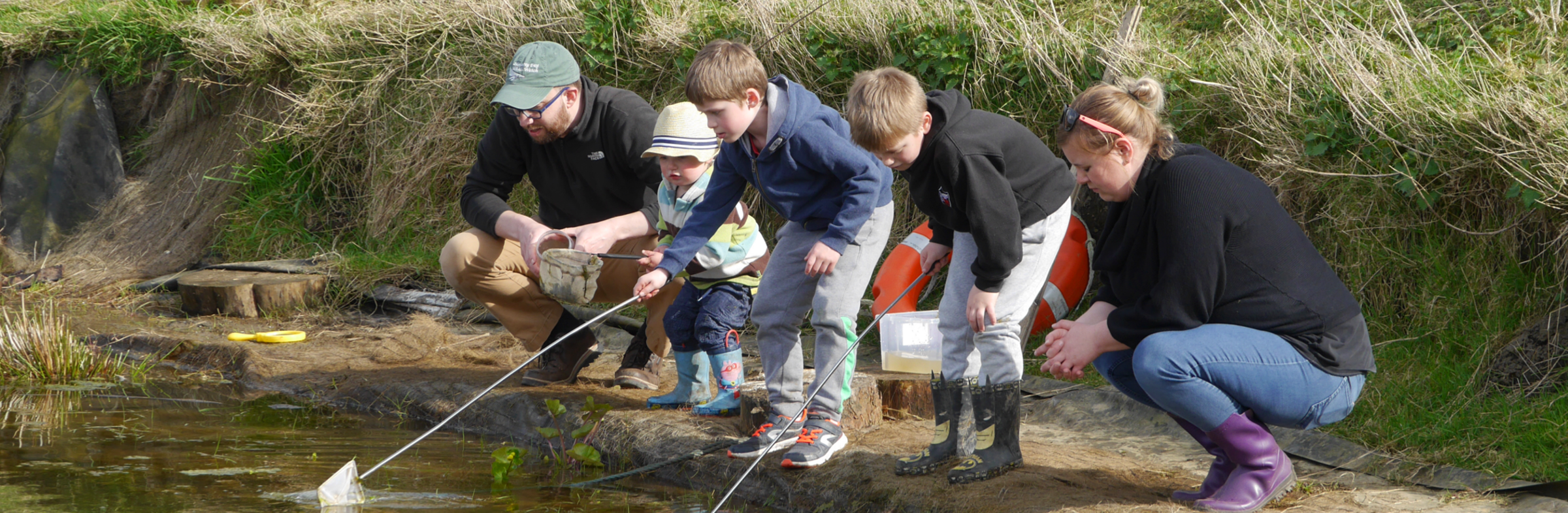 Pond dipping at Family Hour at Holly Hagg Community Farm