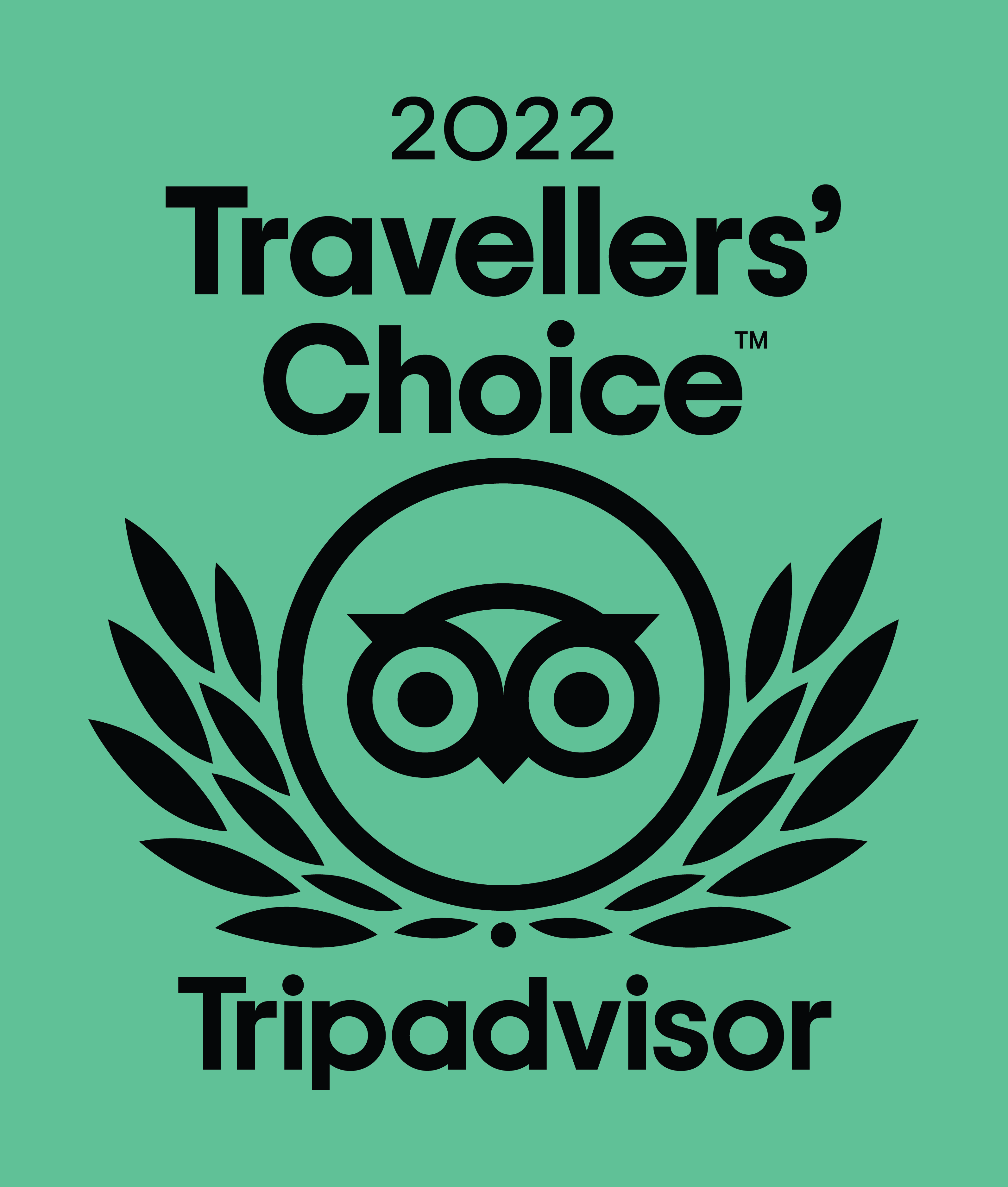 Tripadvisor Travellers Choice Award Holly Hagg