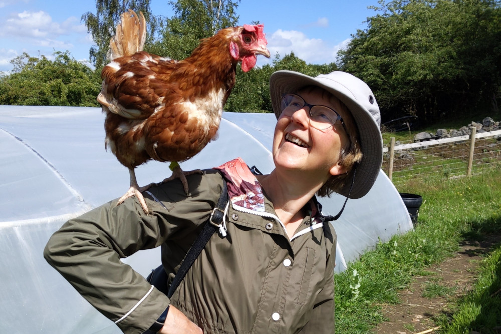 Holly Hagg Community Farm Holly Hagg Community Farm
