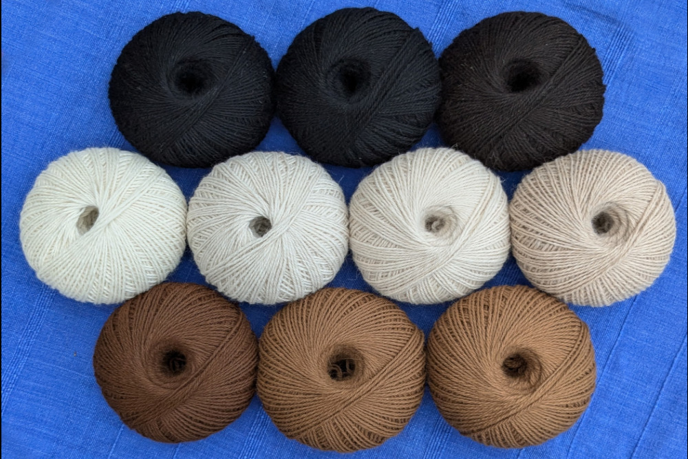 Holly Hagg buy alpaca yarn in a range of colours in our online shop