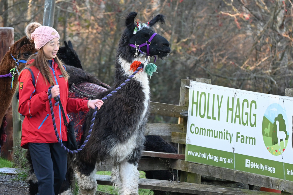 Volunteer with us at Holly Hagg Community Farm