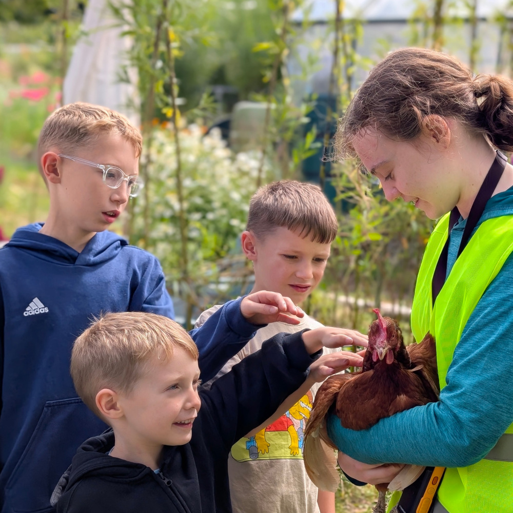 Holly Hagg Community Farm