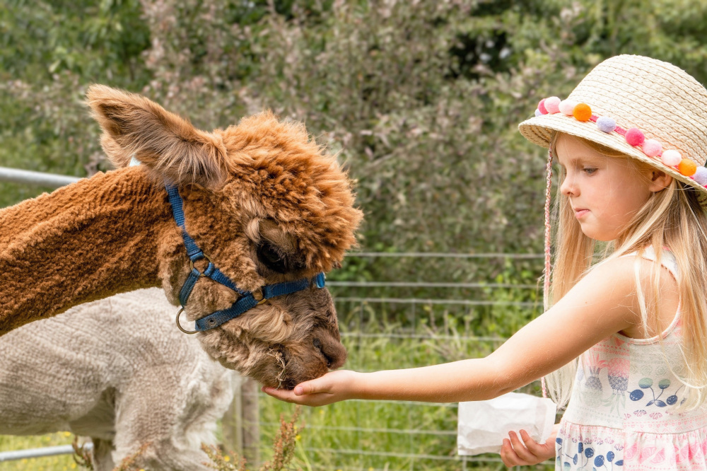 Volunteer with us at Holly Hagg Community Farm